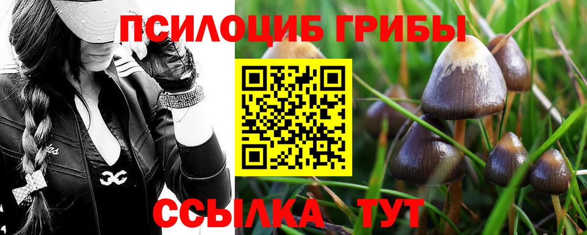 Саяногорск  Псилоцибиновые грибы Magic Shrooms  цены   Вход с VPN  Псилоцибиновые грибы прущие грибы 